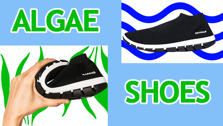 Экомода: обувь из водорослей