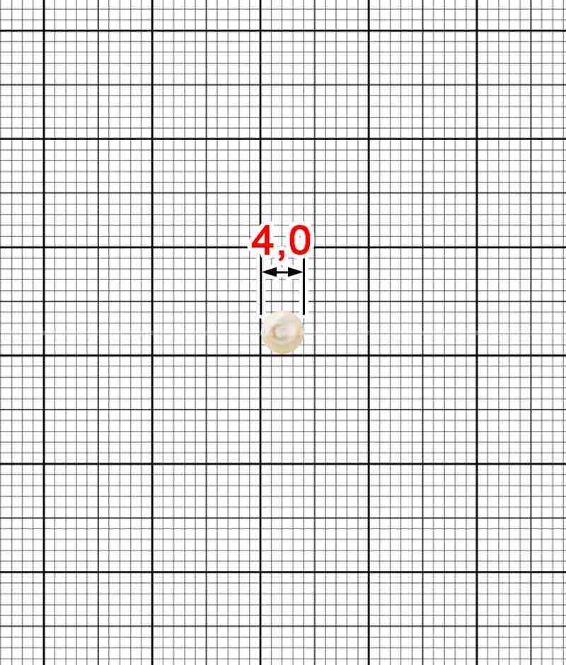 Pearla K.PPAUT-3740
